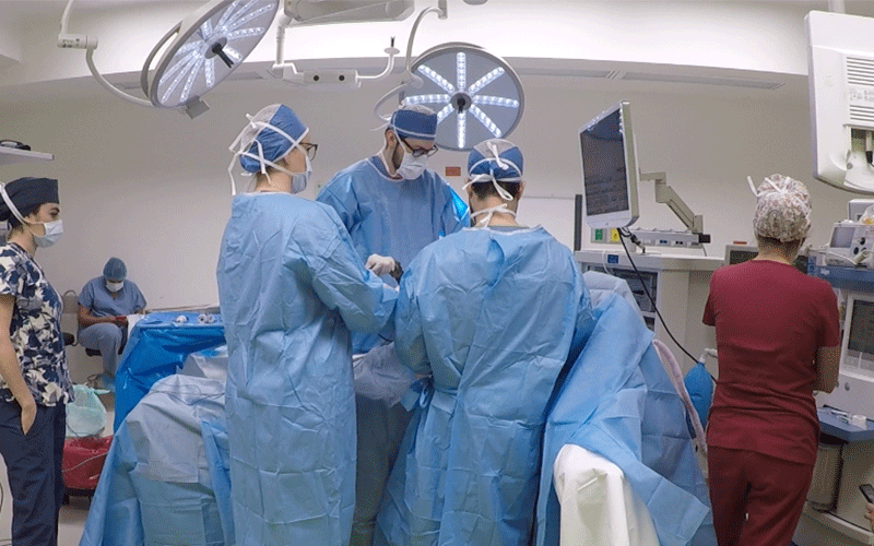 Dr. Sebastián Arana Garza