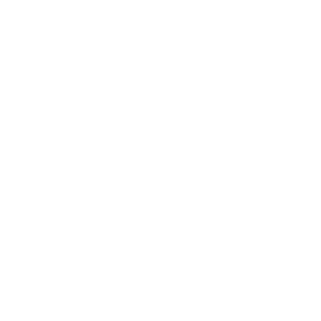 Play icon